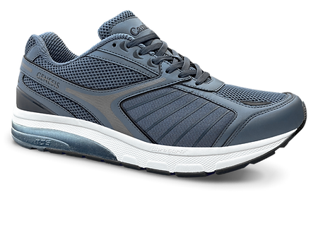 Cambrian Mens GENESIS blue.png