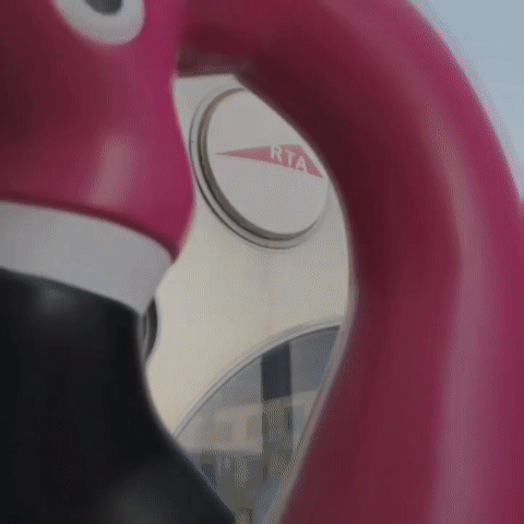 "flamingo 2 arches"