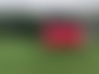 "Flamingo Ground" installed in New York City for Pinknic festival.