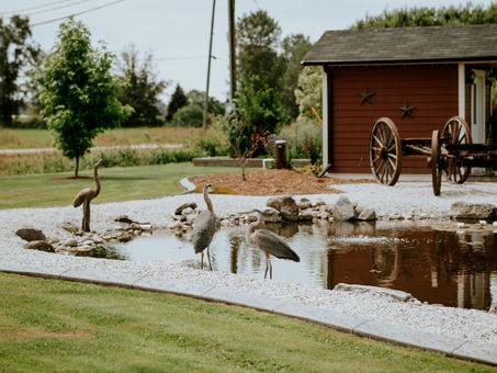 Hitchin' Post Weddings: Where Rustic Dreams Come True in the Heart of the Lower Mainland, BC