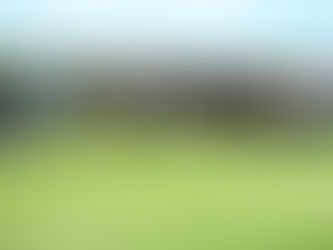 RDC students have lunch with veterans