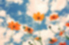 AdobeStock_72097877.jpeg