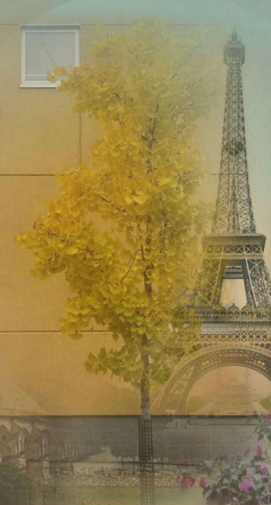 BIENVENUE À L’OPÉRA DE LA BELLE FRANCE!