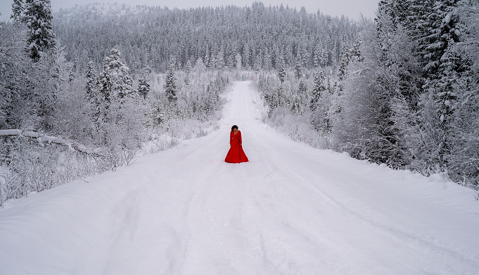 Wide angle view of snowy forest landscape in Lapland