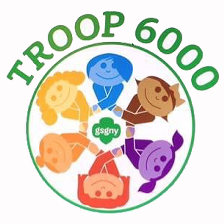 Troop 6000 Logo