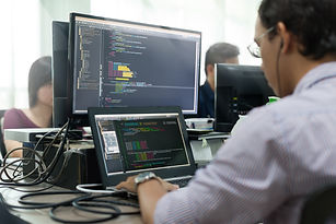 SOFTWARE & TECHNOLOGY SERVICES