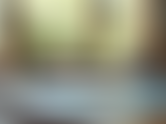 Booking Your Dream Vacation with Mickey Ohana Booking Process