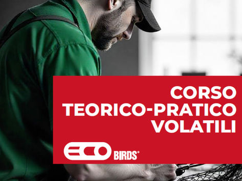 Corso teorico-pratico volatili