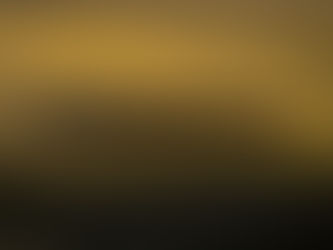 Millepiedi o...centopiedi?