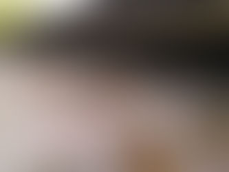 Vuoi tenere lontani i piccioni dai pannelli fotovoltaici?