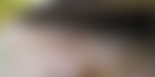 Vuoi tenere lontani i piccioni dai pannelli fotovoltaici?