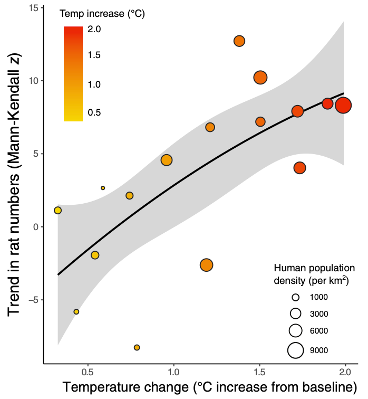 Associazione positiva tra l’aumento delle temperature e numero di ratti. Le tendenze all'aumento del numero di ratti sono associate all'aumento medio della temperatura registrato in ciascuna città rispetto al valore di riferimento sul lungo termine. Ogni punto di dati rappresenta una città e la dimensione di ogni punto corrisponde alla densità di popolazione umana all'interno di quella città, anch'essa associata all'andamento del numero di ratti. Immagine: dalla pubblicazione.