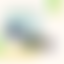 Umpires for Rep Events - Carnivals and State Titles 2026