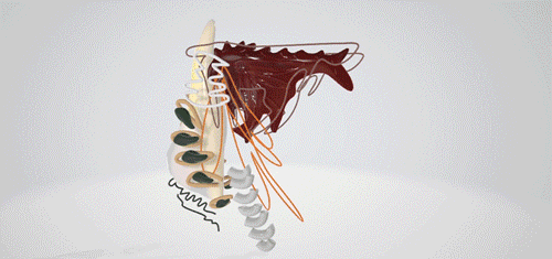 puzzle-pieces-3d-interactive-(for-website).gif