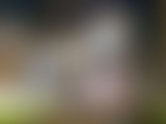 Rodrigo Kirck Arquitetura