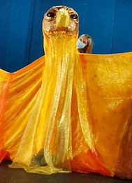 Big Bird for Royal Central.jpeg
