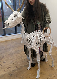 ghostdeer.jpg