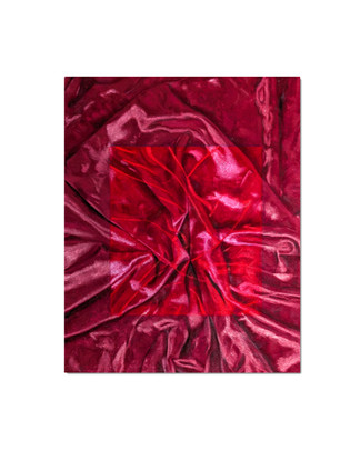 Aly Lloyd Painting Velvet on velvet (red)