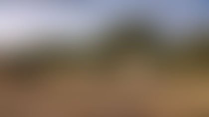 Urgent/Ansongo : Plusieurs bétails enlevés