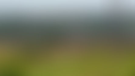 Spéculation foncière à Kati : Hamady K. Bathily, Bjibril Camara, la SIFMA... à l'indexe des victimes