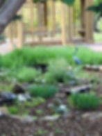 20250604_082027 (1).jpg