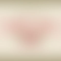 Order your Wreaths Today!