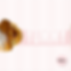 image (6).png