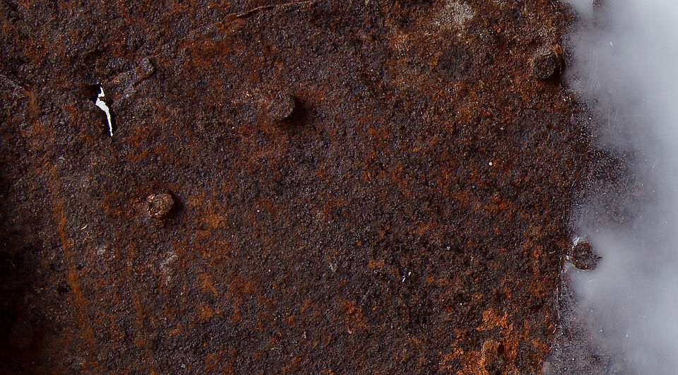 Schore_detail_6_1_edited.jpg