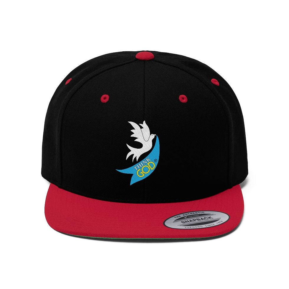 Миниатюра: Unisex Flat Bill Hat