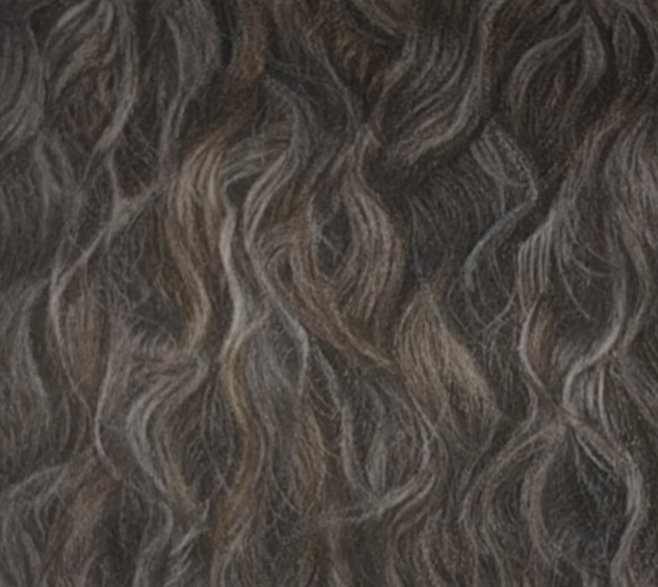Colour pencil drawing of curly fur