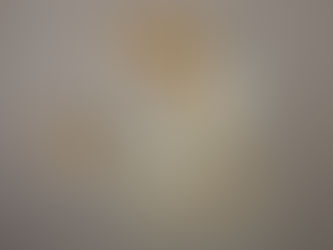 Drawing in progress of a dog laying down relaxing.