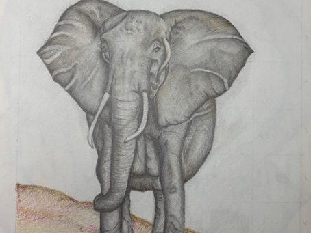 A drawing of an elephant