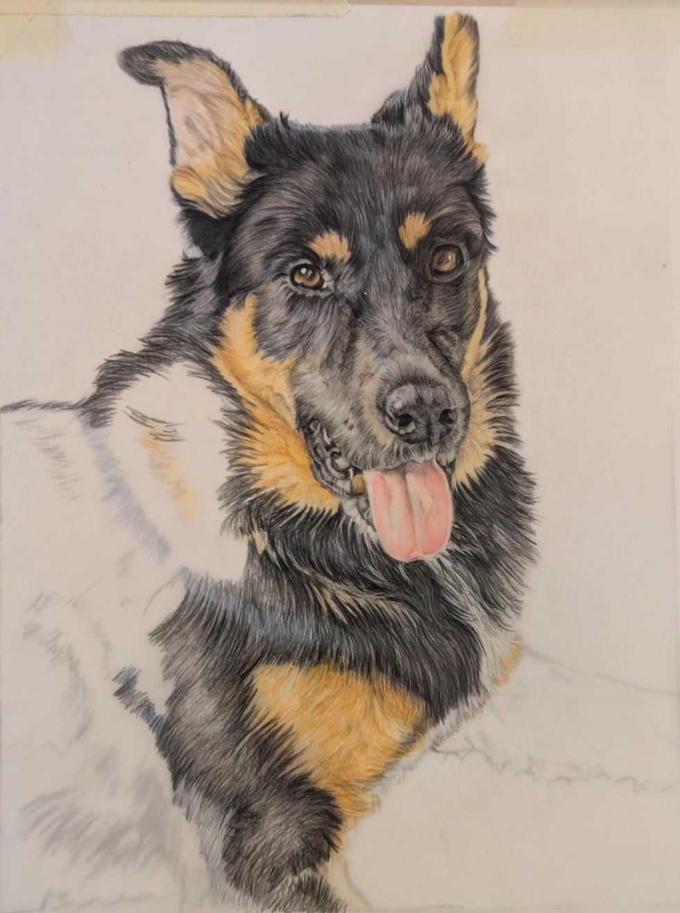 Drawing of a dog with detailed black and tan fur, tongue out. The background is plain, highlighting the dog's joyful expression.