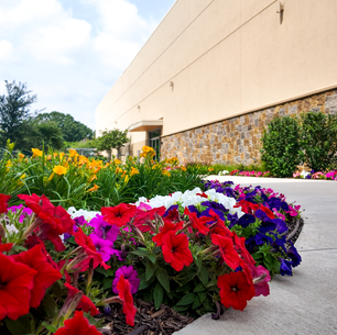Spring Color At Commercial Property