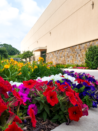 Spring Color At Commercial Property