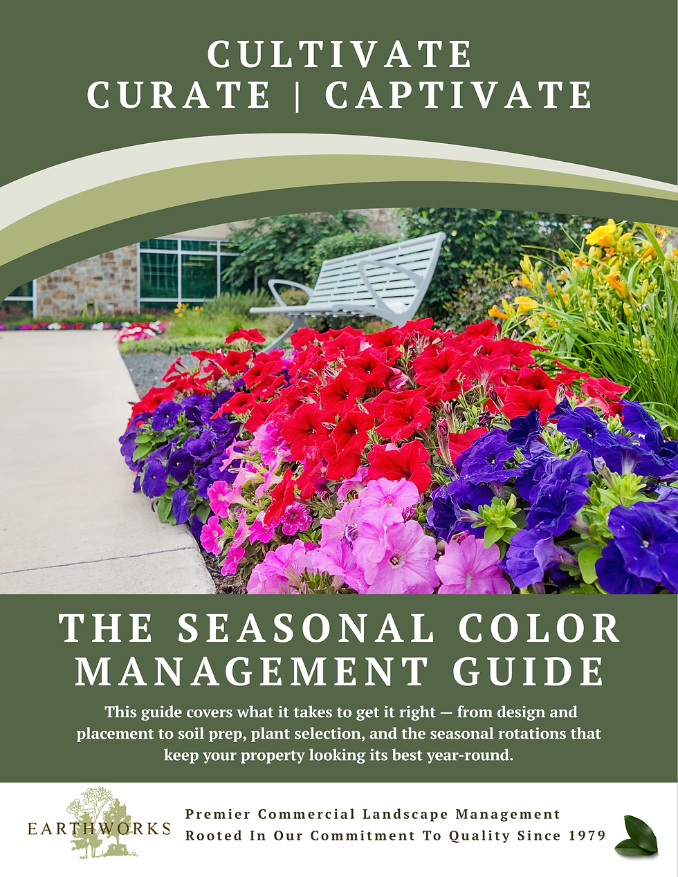The Seasonal Color Management Guide.png