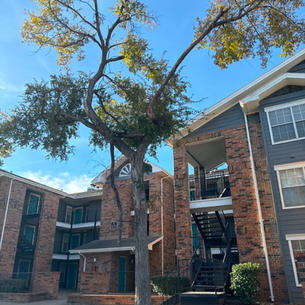 Hey Look Up....At Your Trees