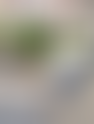 Before And After of Apartment Courtyard