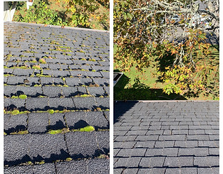 Roof cleaning service in Humboldt County CA removing debris