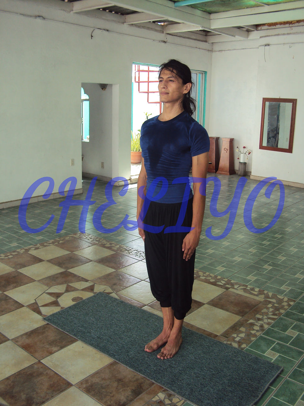 Yoga