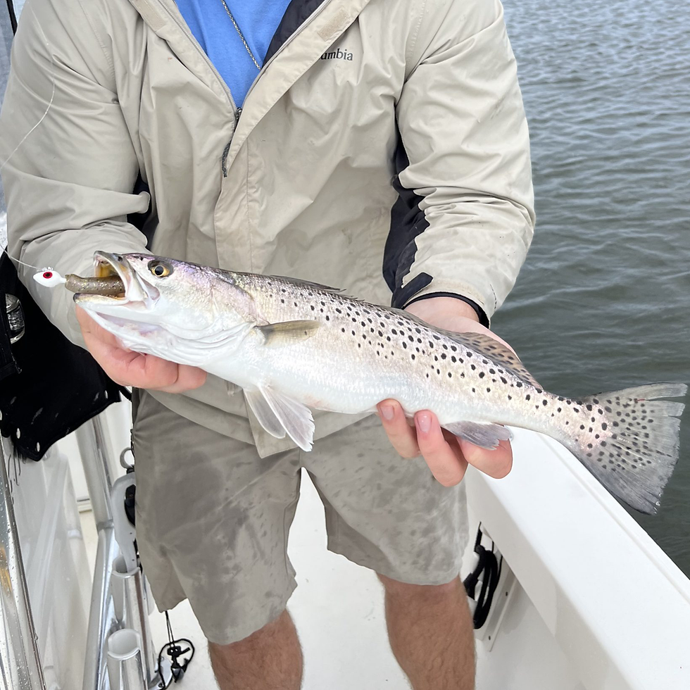 Speckled-Sea-Trout-Fishing-Coastal-Marsh-Adventures-1.png