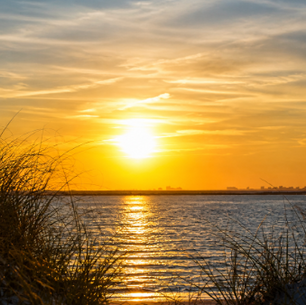 Fishing Charters in Little River, SC: What It’s Like on the Water This Time of Year