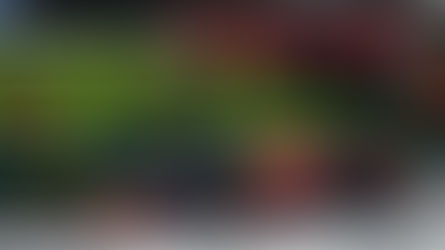 RICCIARDO HACE HISTORIA Y LOGRA SU PRIMERA POLE EN MÓNACO