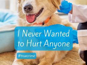 Photo of a veterinarian treating a dog.