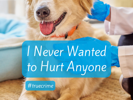 Photo of a veterinarian treating a dog.