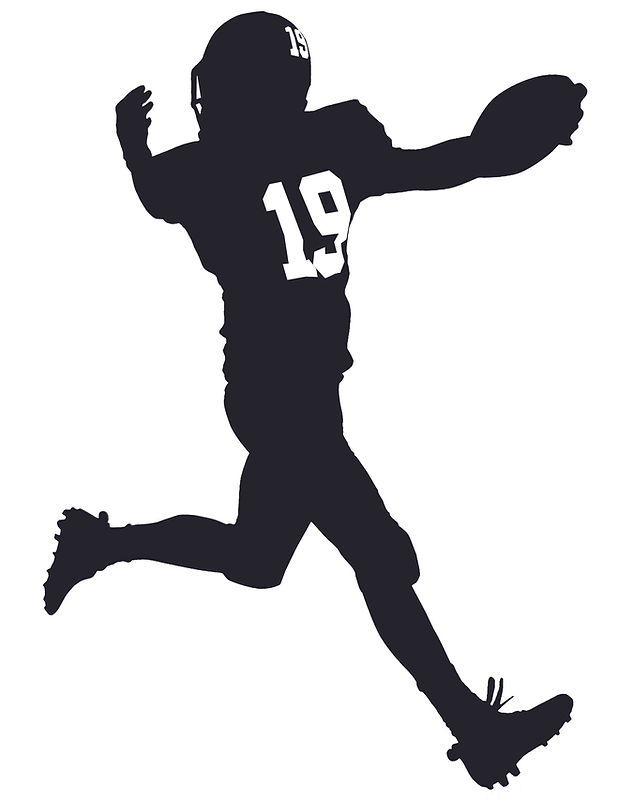 James NO19 Logo.jpeg