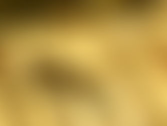 Finances: A Biblical Perspective