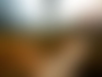 Serving and Submitting to the Lord