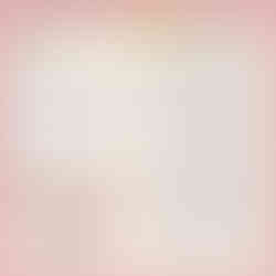 Primal Freeze Dried Dog Food Nuggets, Turkey & Sardine; Complete & Balanced Meal; Also Use as Topper or Treat; Premium, Healthy, Grain Free, High Protein Raw Dog Food, 14 oz