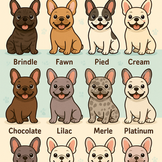 French Bulldog Colors